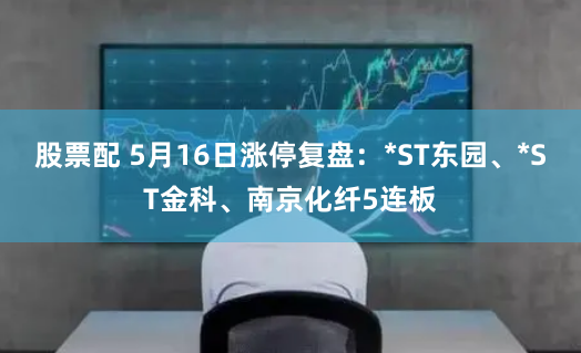 股票配 5月16日涨停复盘：*ST东园、*ST金科、南京化纤5连板
