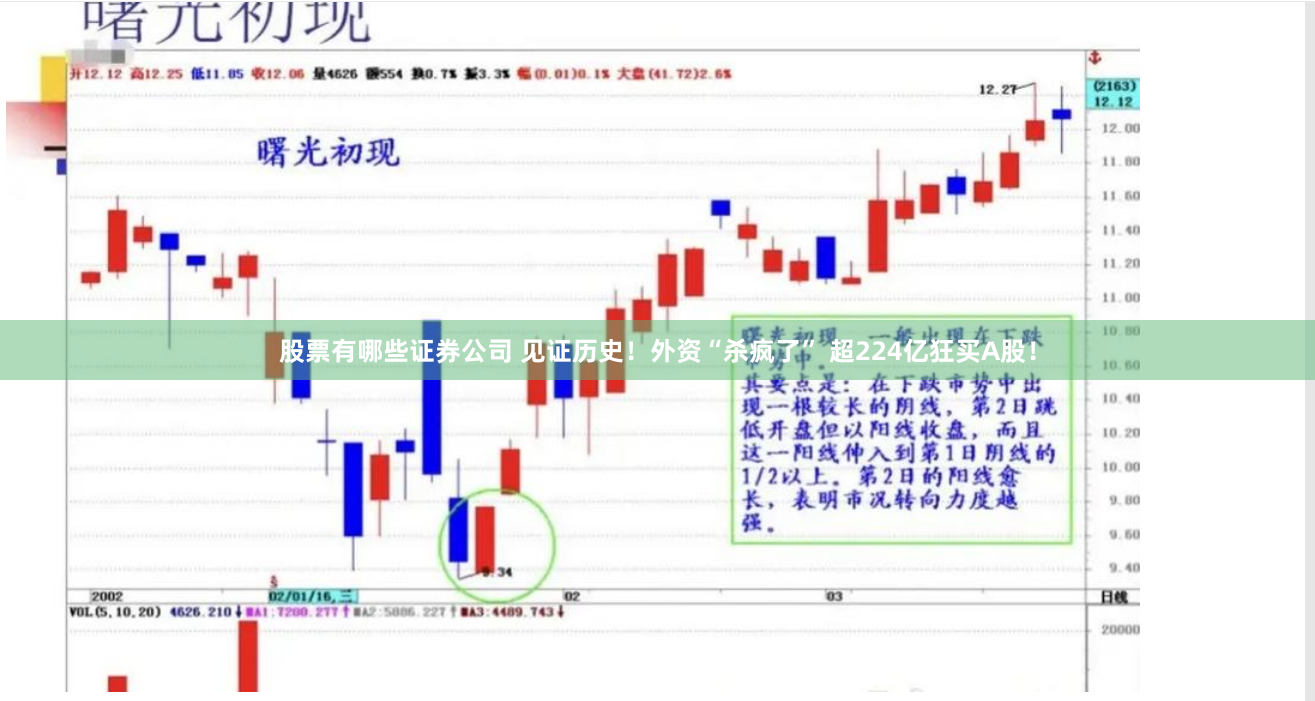 股票有哪些证券公司 见证历史！外资“杀疯了” 超224亿狂买A股！